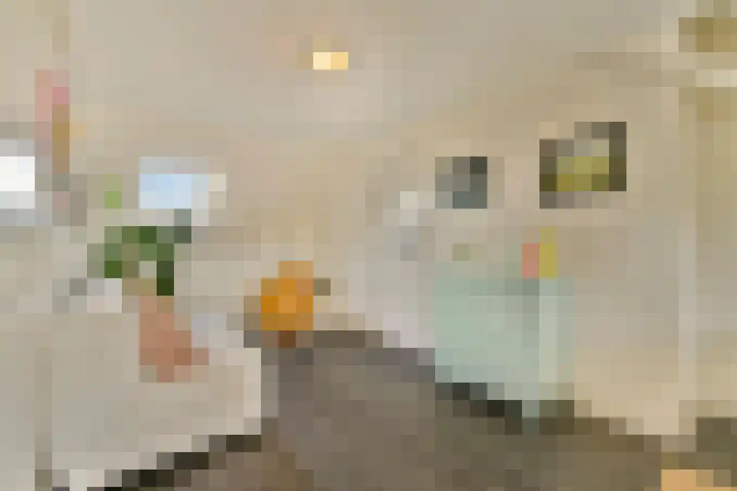 Meije 126 Bodegraven thumbnail 28