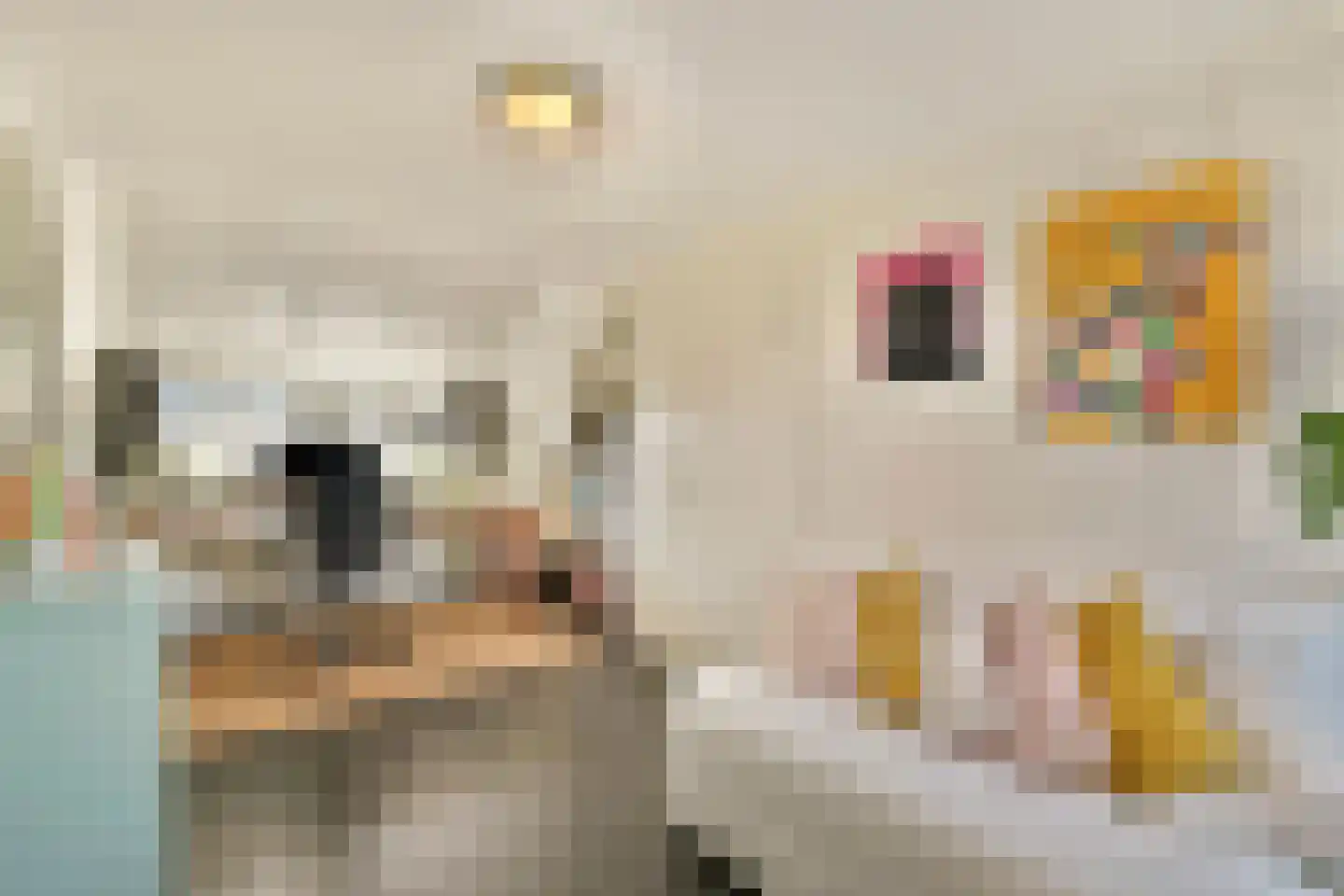 Meije 126 Bodegraven thumbnail 29