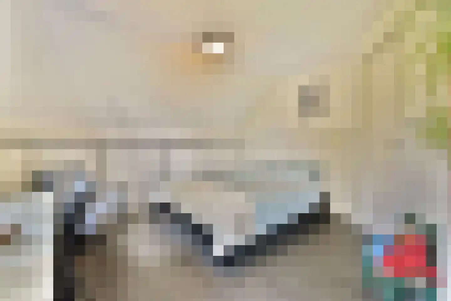 Meije 126 Bodegraven thumbnail 30