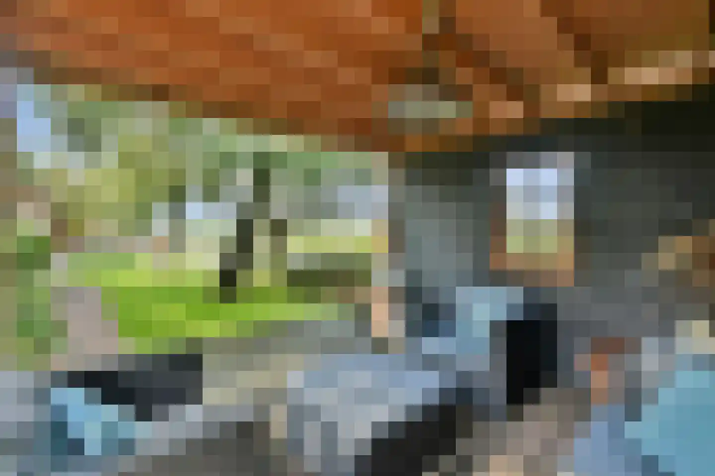 Meije 126 Bodegraven thumbnail 33