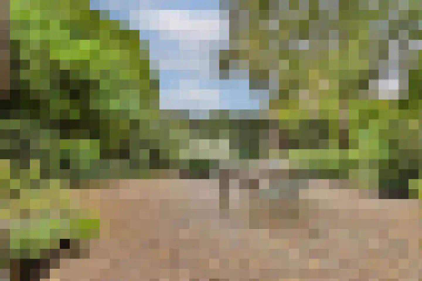 Meije 126 Bodegraven thumbnail 37