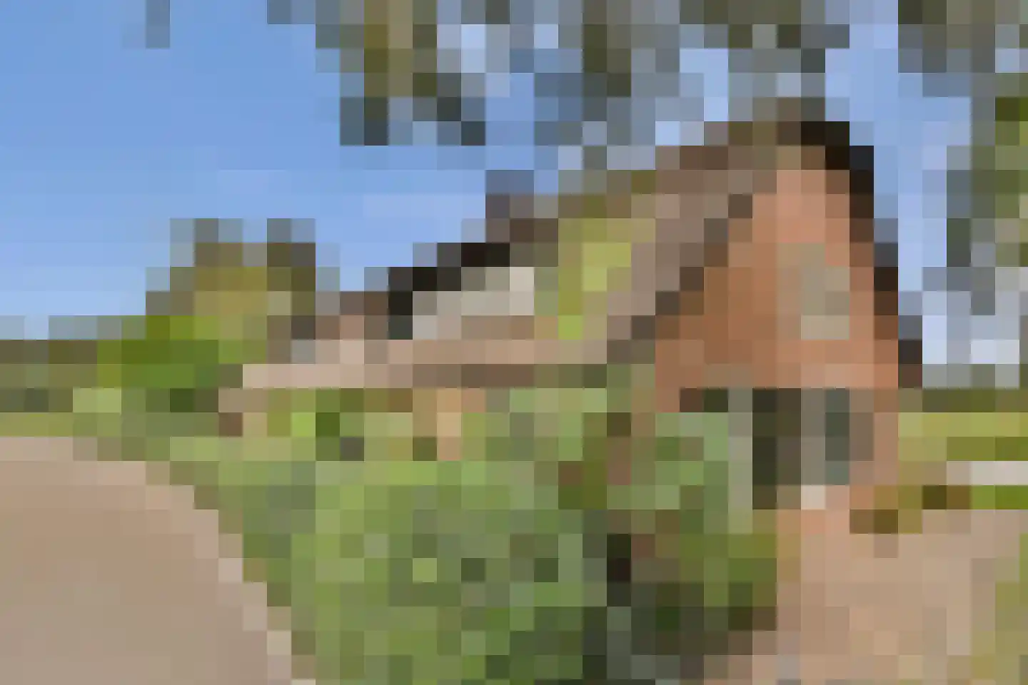 Meije 126 Bodegraven thumbnail 39