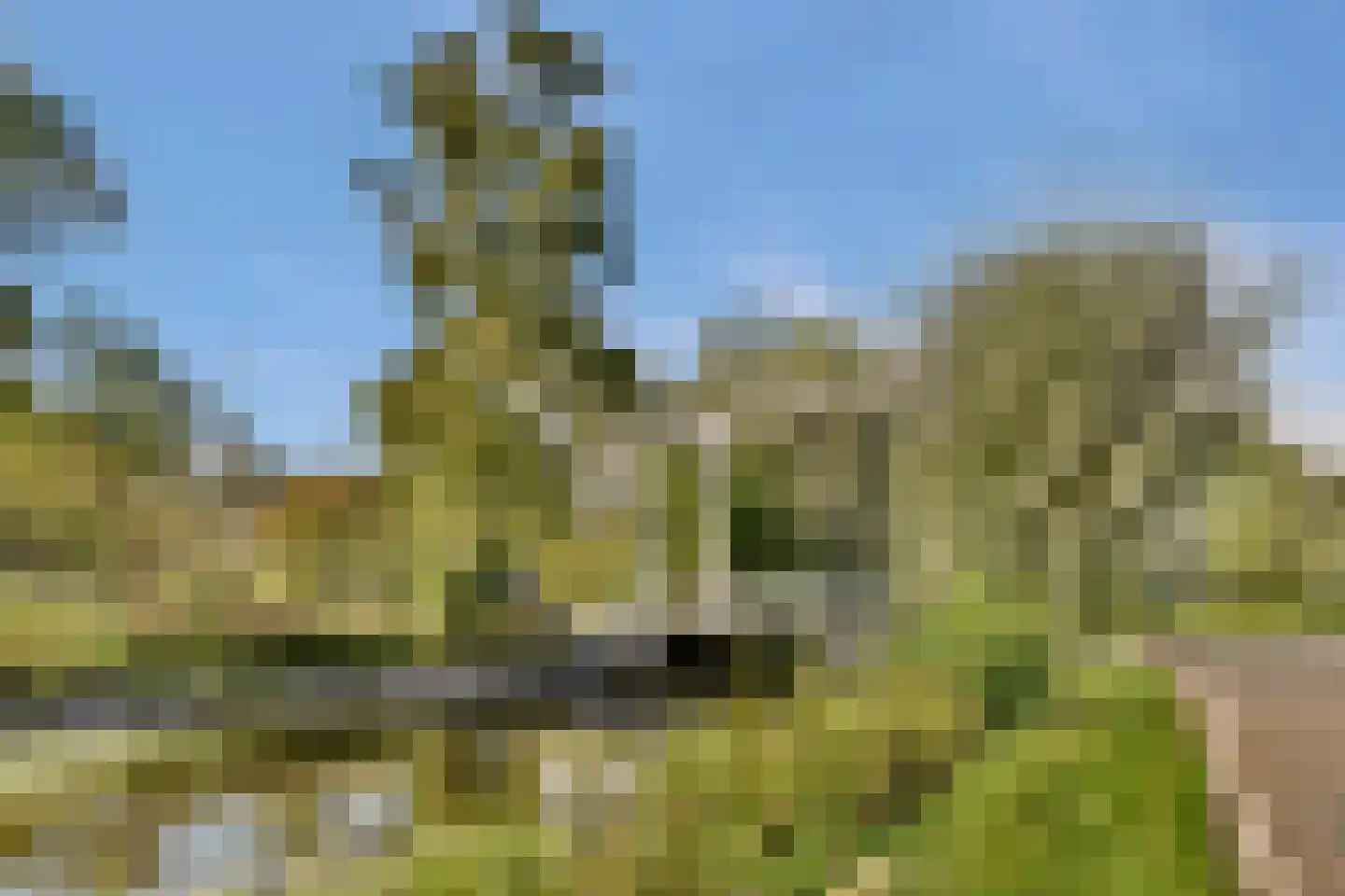 Meije 126 Bodegraven thumbnail 42