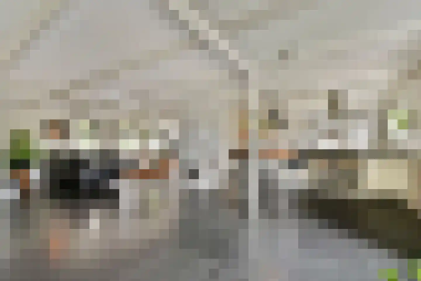 Meije 126 Bodegraven thumbnail 5