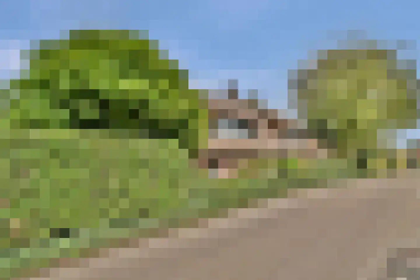 Meije 126 Bodegraven thumbnail 7