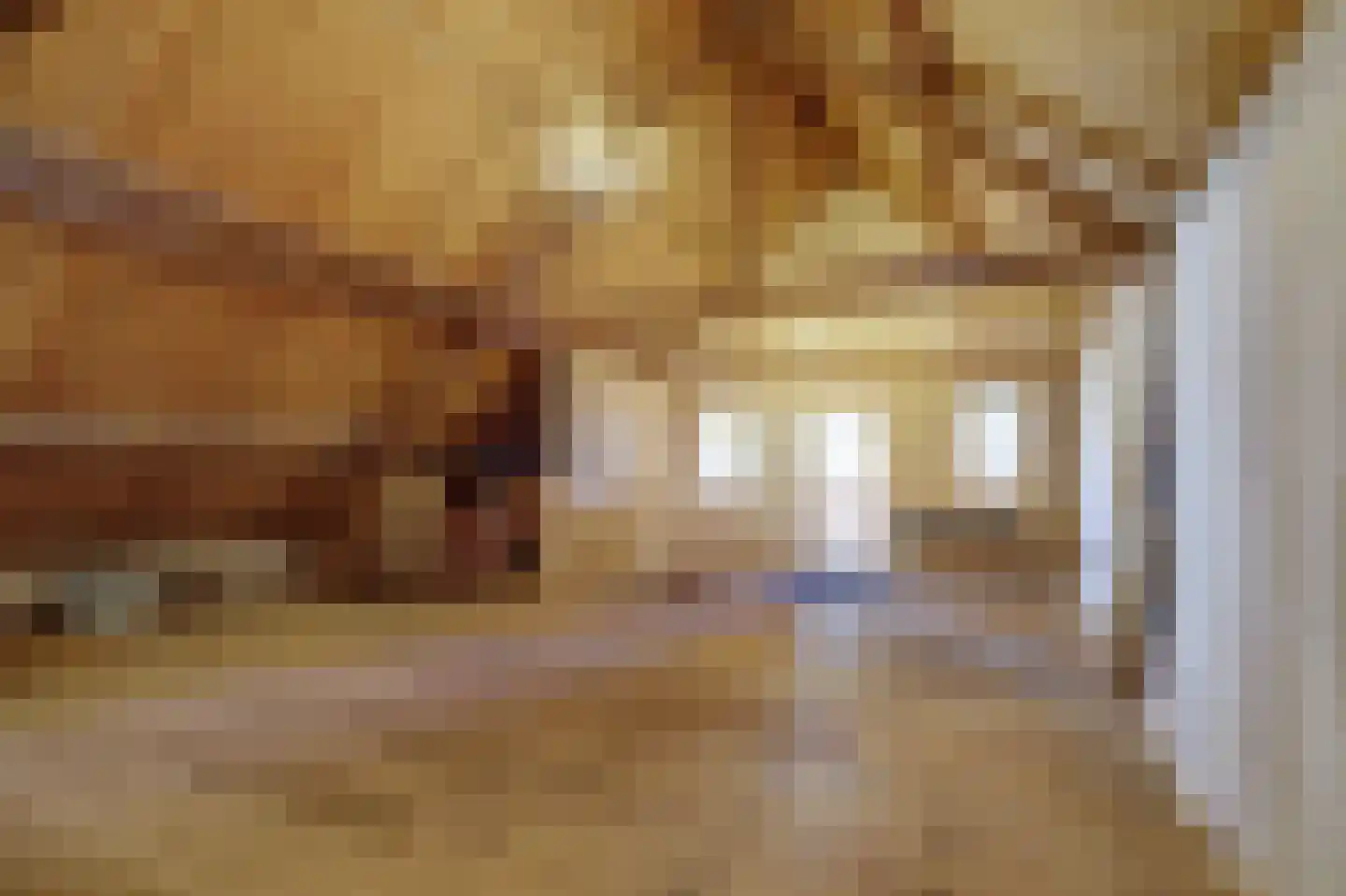 Meije 28 Bodegraven thumbnail 100
