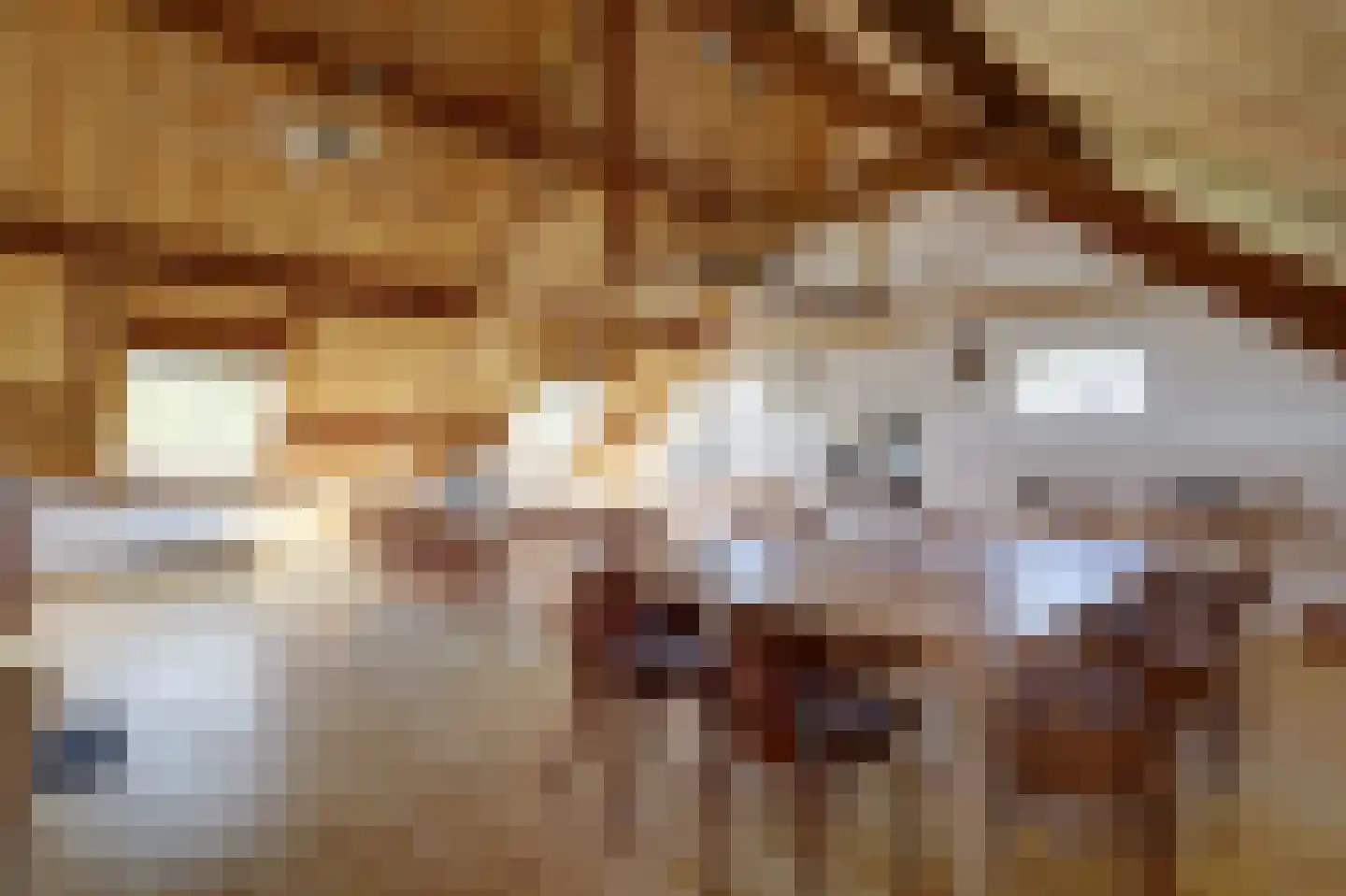 Meije 28 Bodegraven thumbnail 101