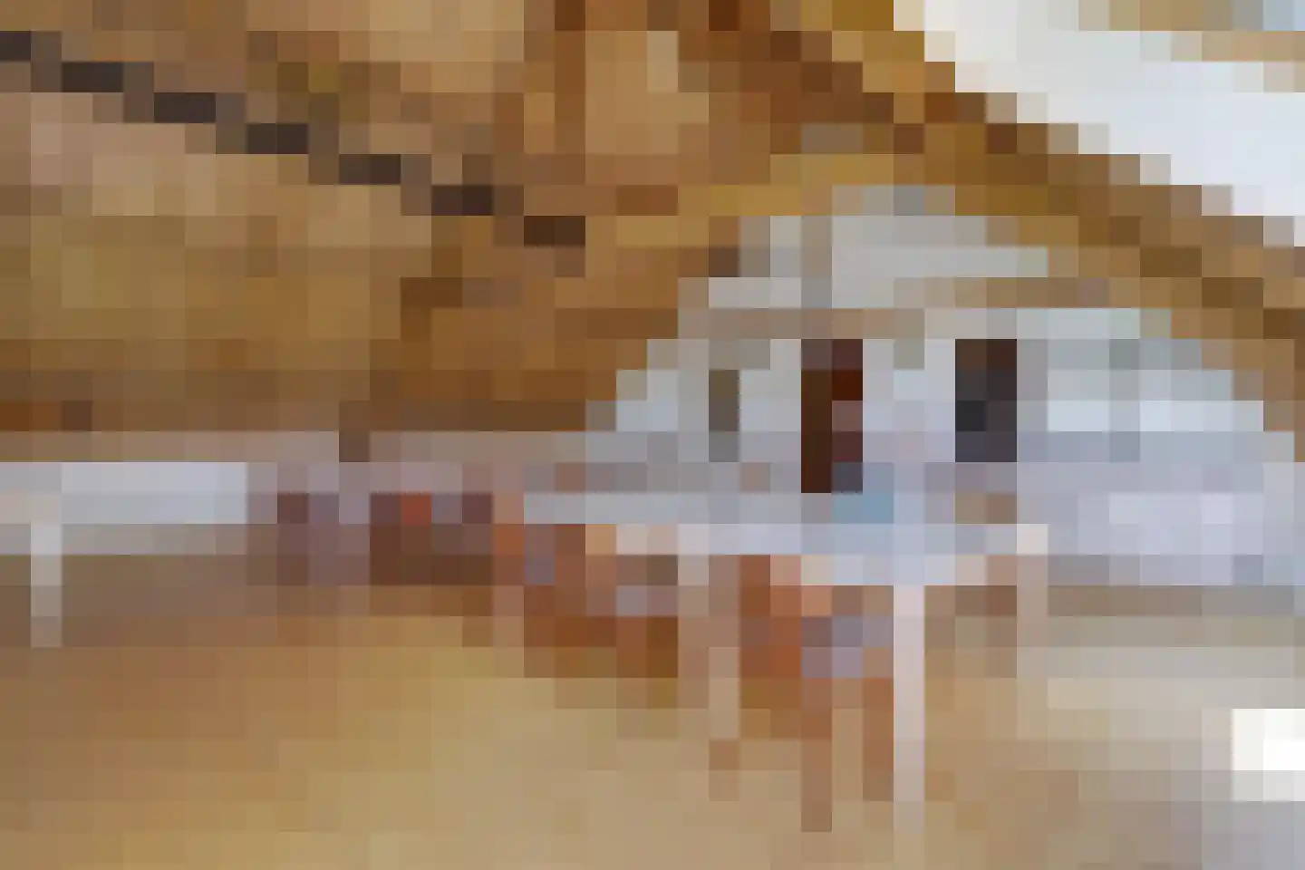 Meije 28 Bodegraven thumbnail 102