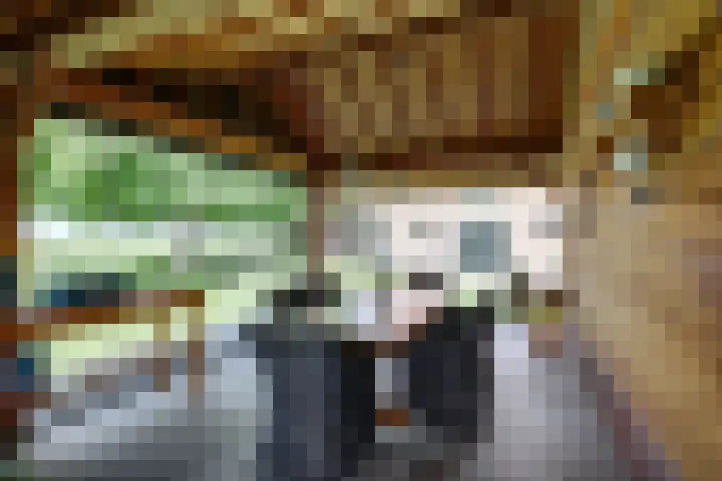 Meije 28 Bodegraven thumbnail 107