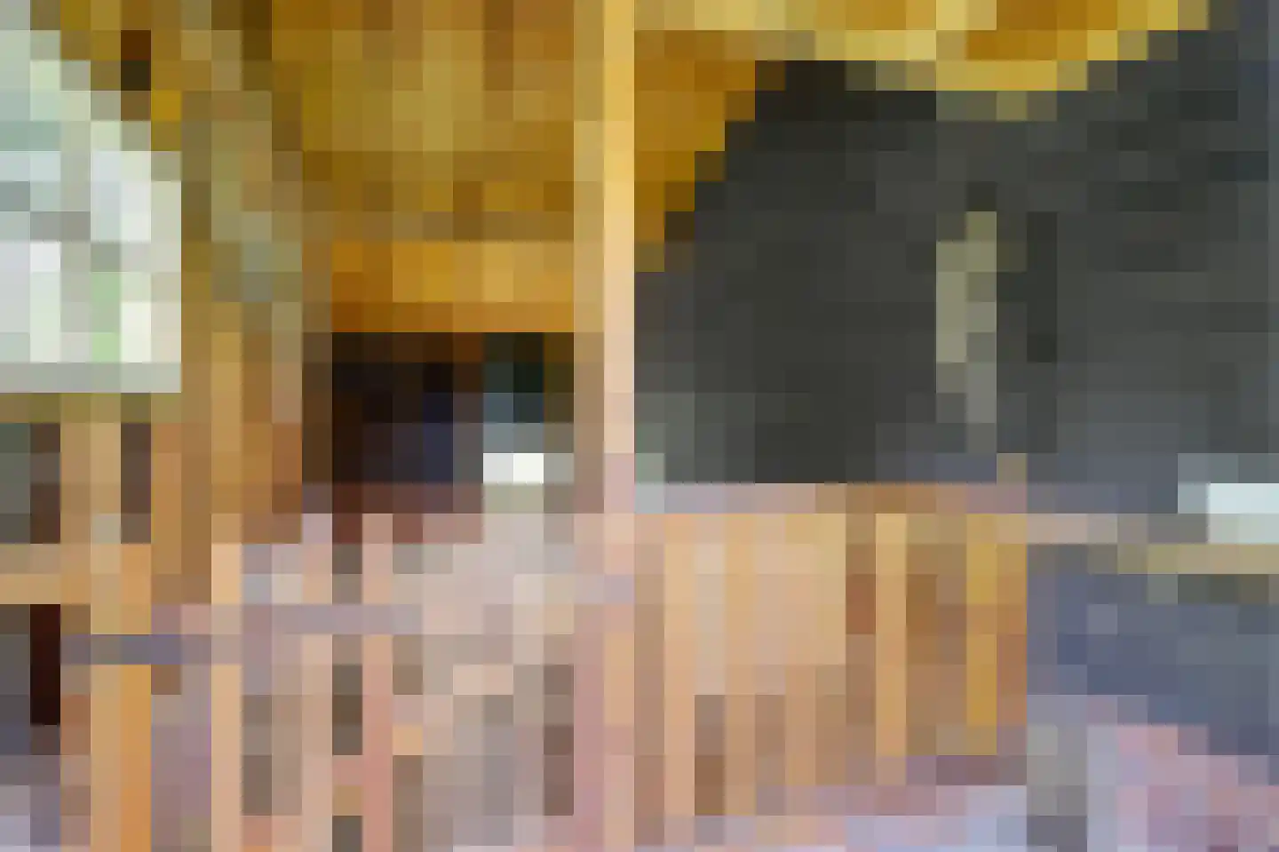 Meije 28 Bodegraven thumbnail 108
