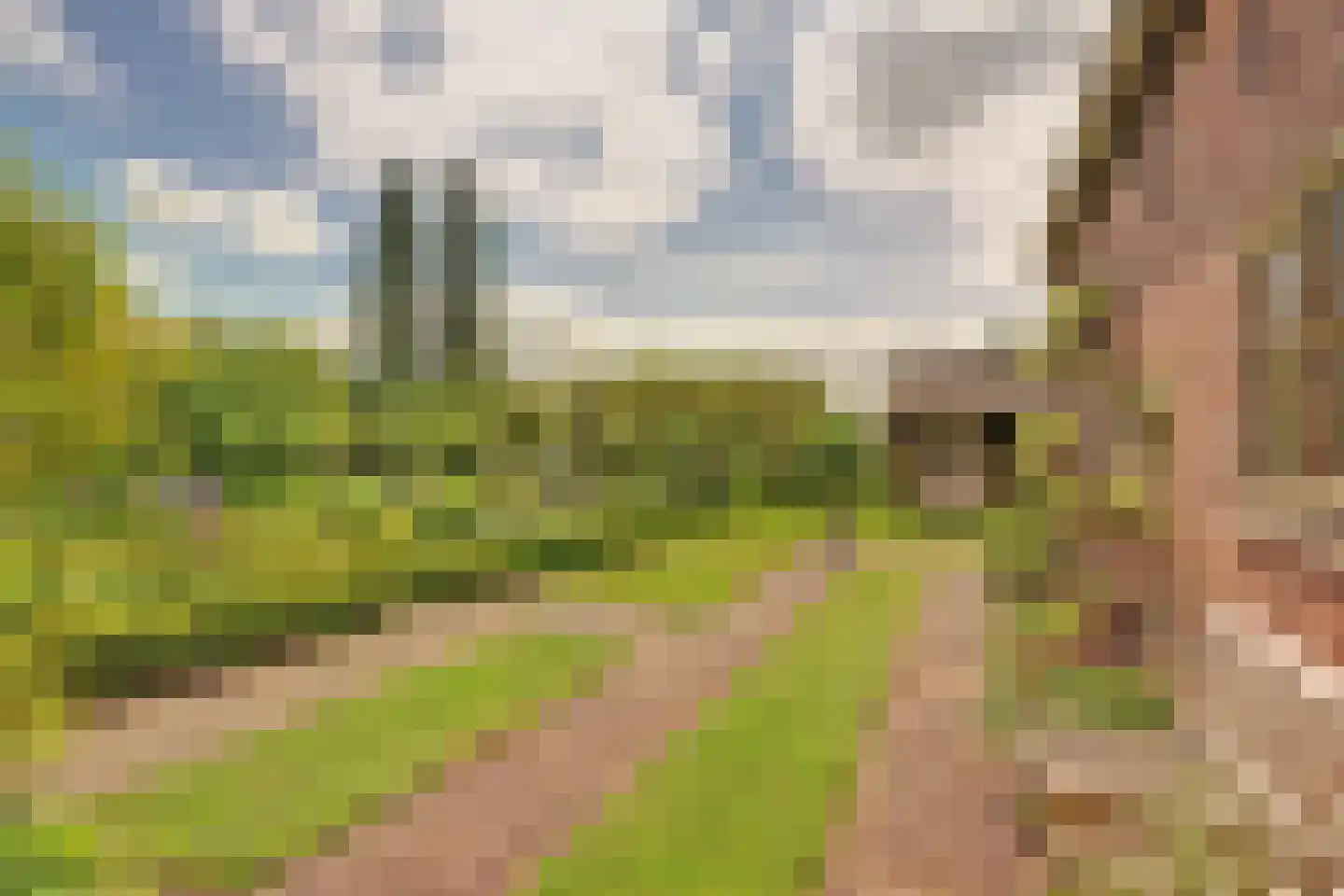 Meije 28 Bodegraven thumbnail 110