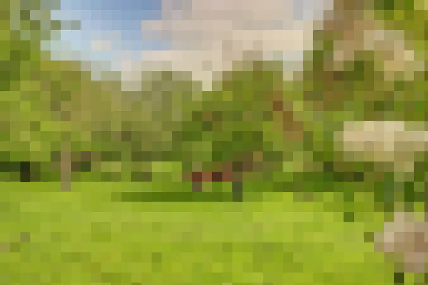 Meije 28 Bodegraven thumbnail 112