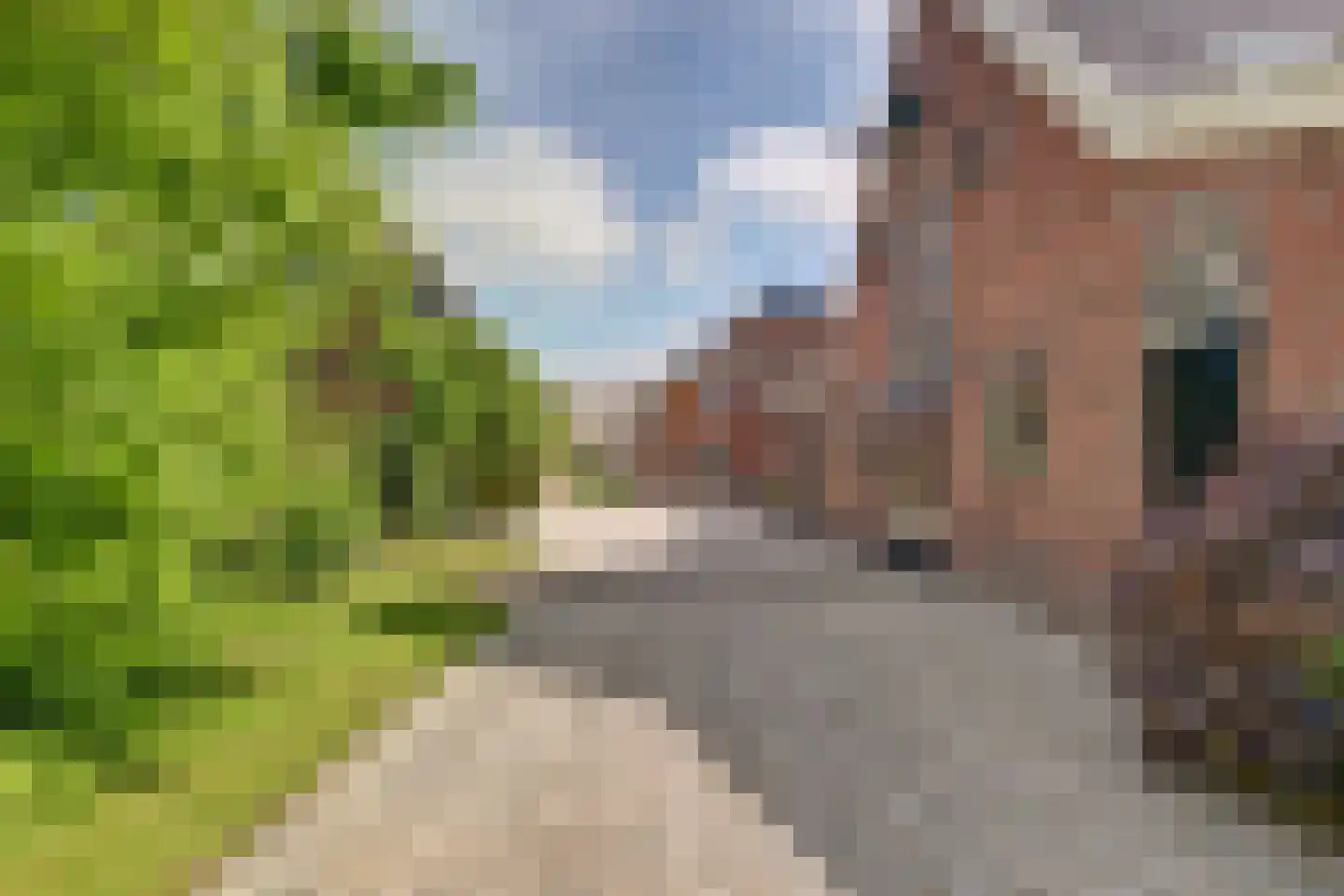 Meije 28 Bodegraven thumbnail 114