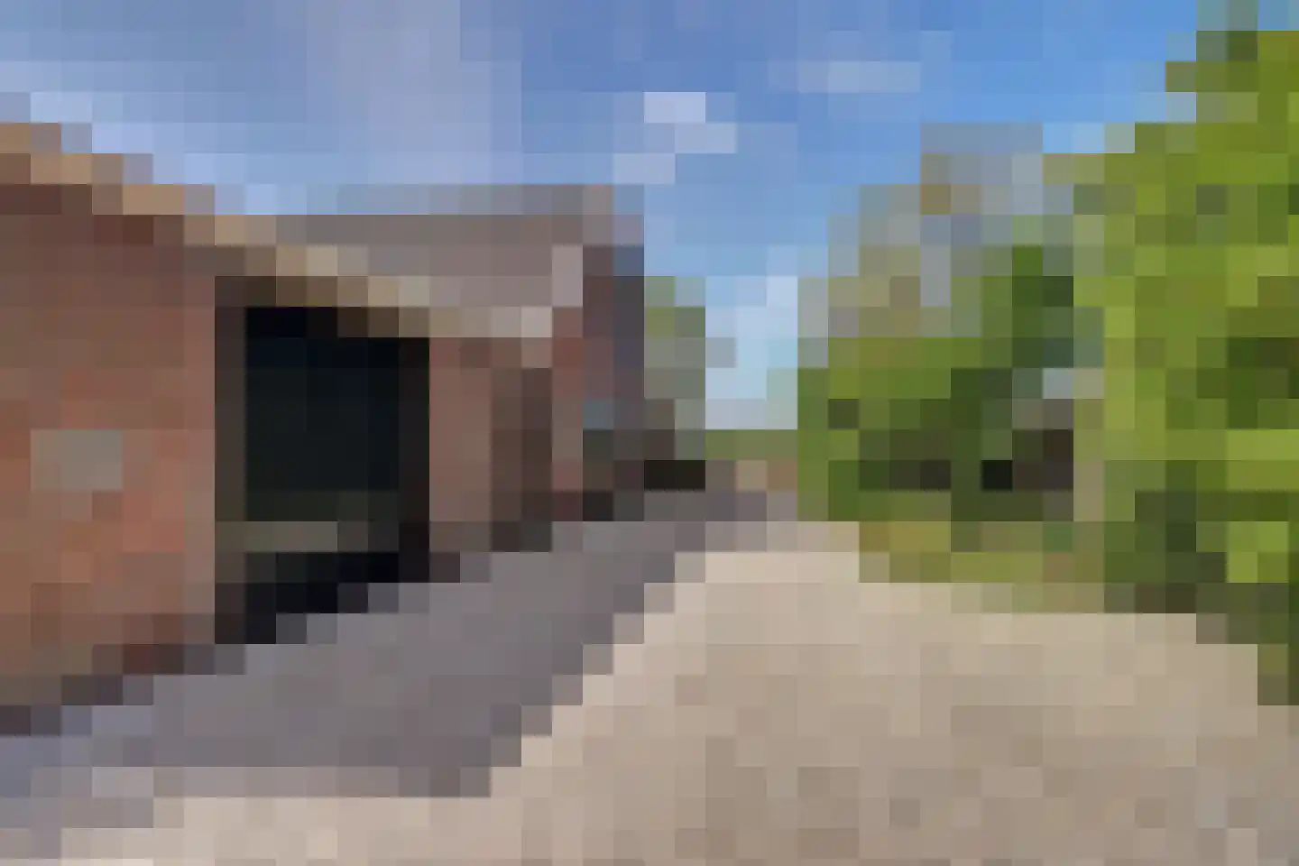 Meije 28 Bodegraven thumbnail 115