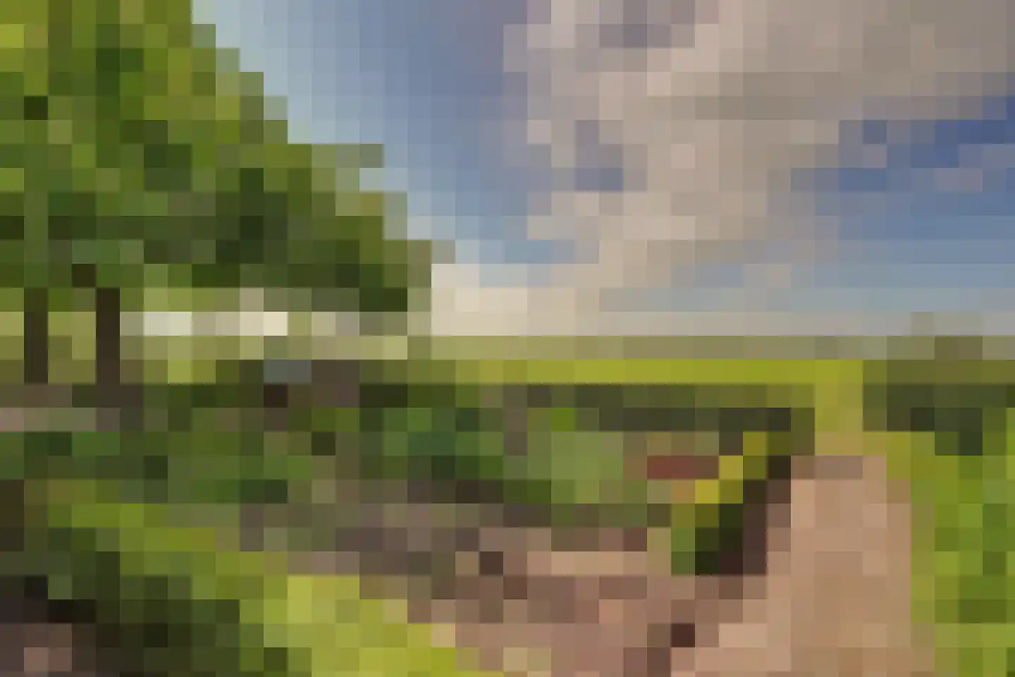 Meije 28 Bodegraven thumbnail 117