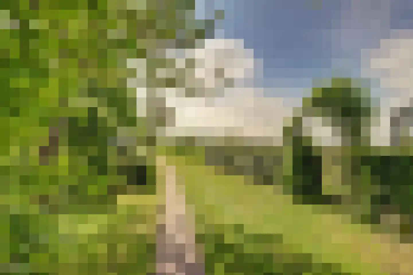 Meije 28 Bodegraven thumbnail 118