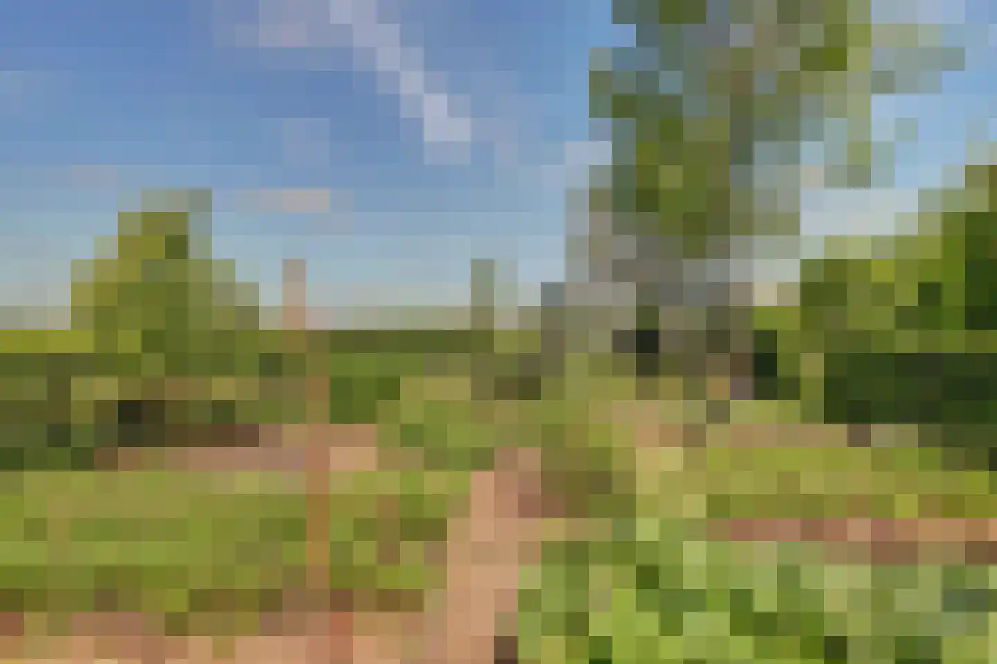 Meije 28 Bodegraven thumbnail 119