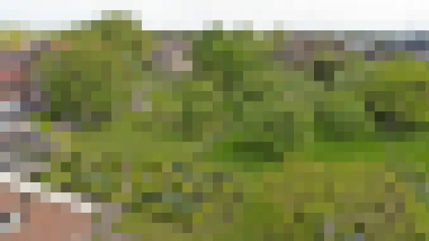 Meije 28 Bodegraven thumbnail 121