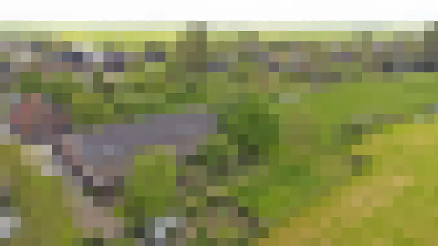 Meije 28 Bodegraven thumbnail 123
