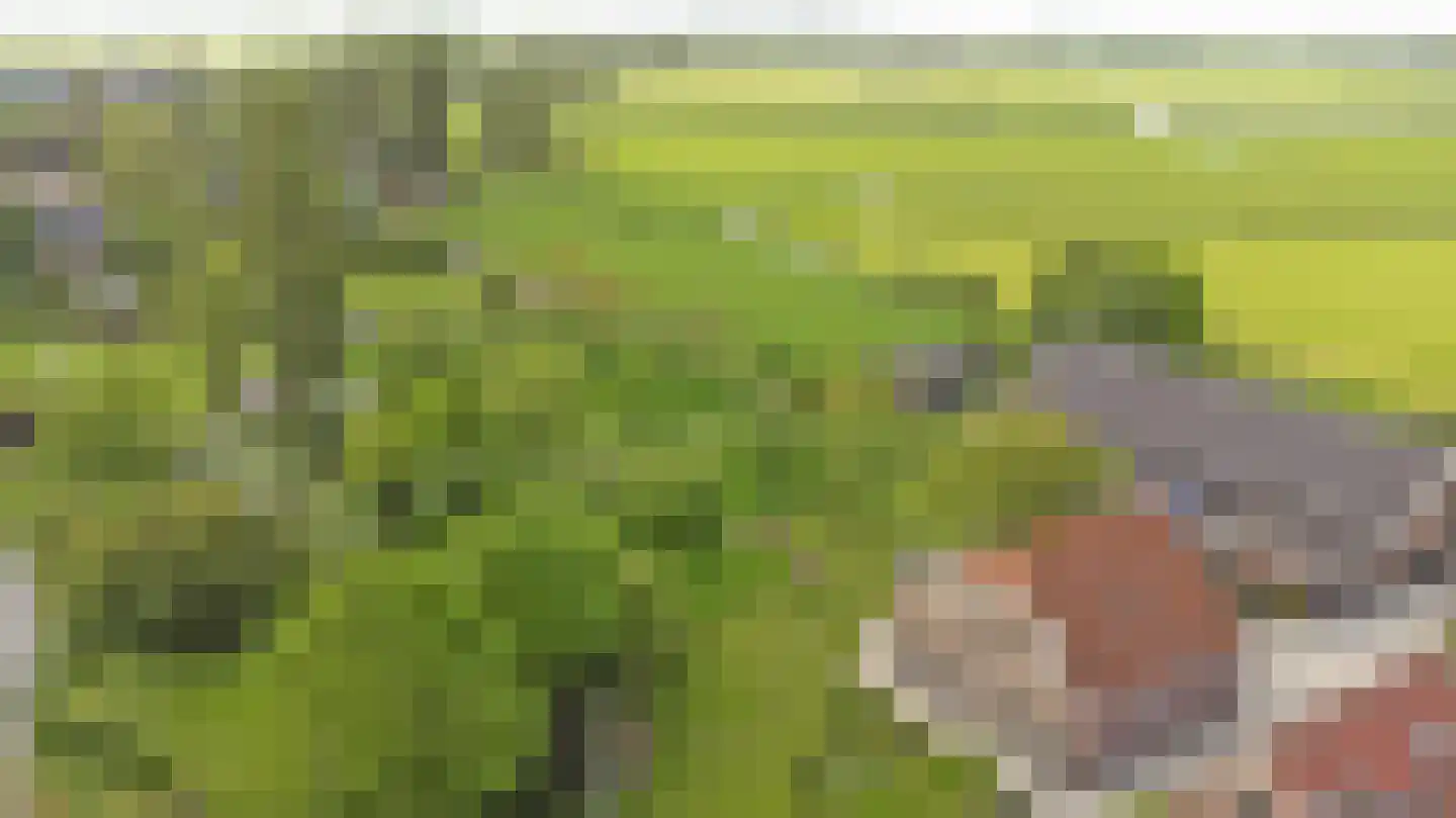Meije 28 Bodegraven thumbnail 125