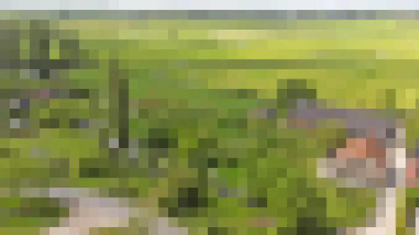 Meije 28 Bodegraven thumbnail 126