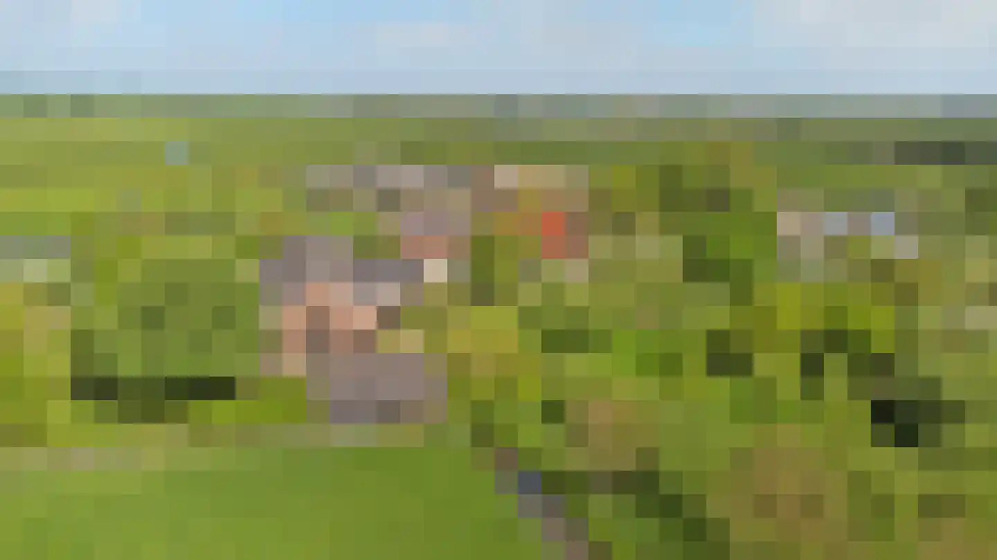 Meije 28 Bodegraven thumbnail 127