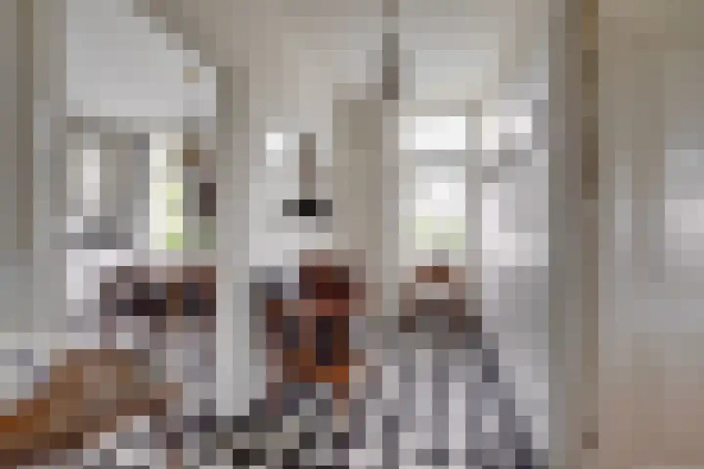 Meije 28 Bodegraven thumbnail 20