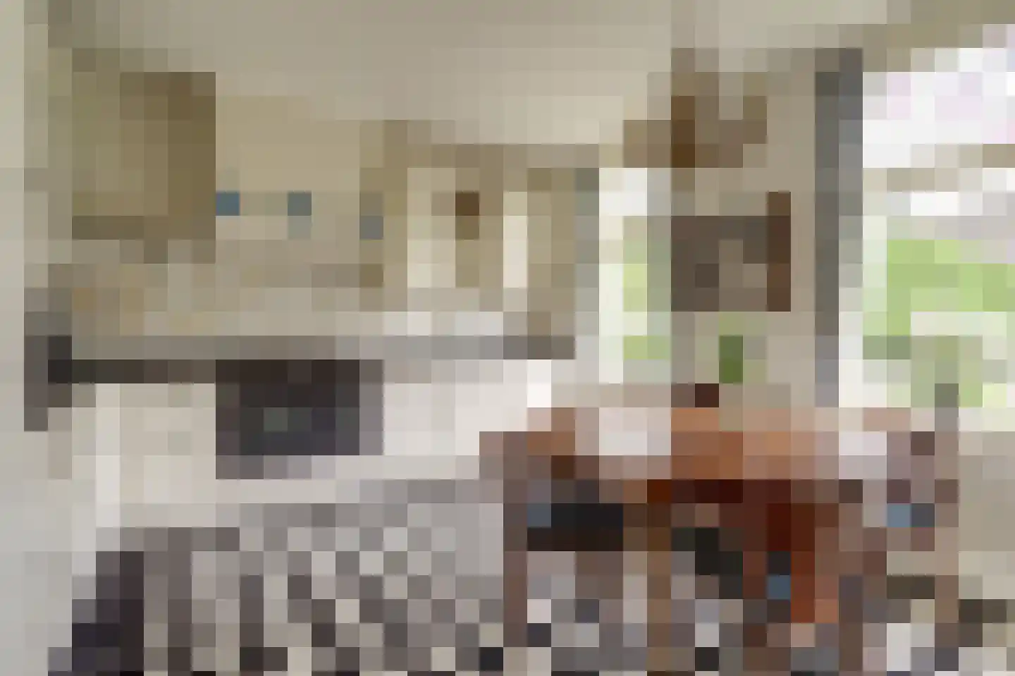 Meije 28 Bodegraven thumbnail 21