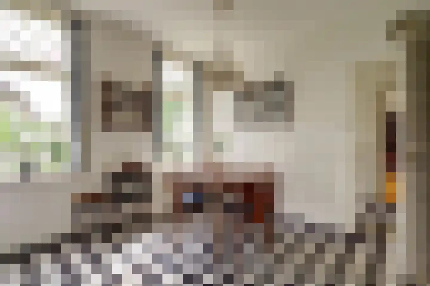 Meije 28 Bodegraven thumbnail 24