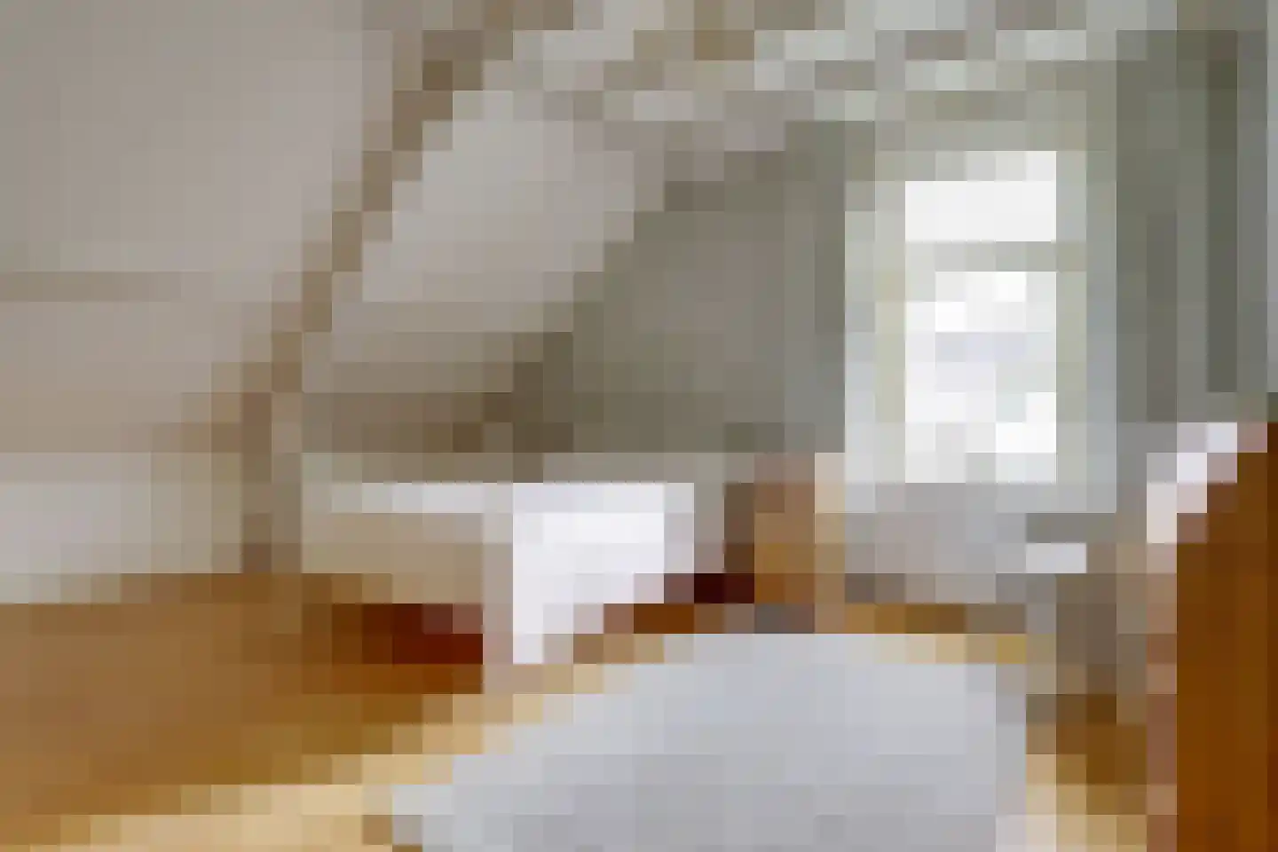 Meije 28 Bodegraven thumbnail 32