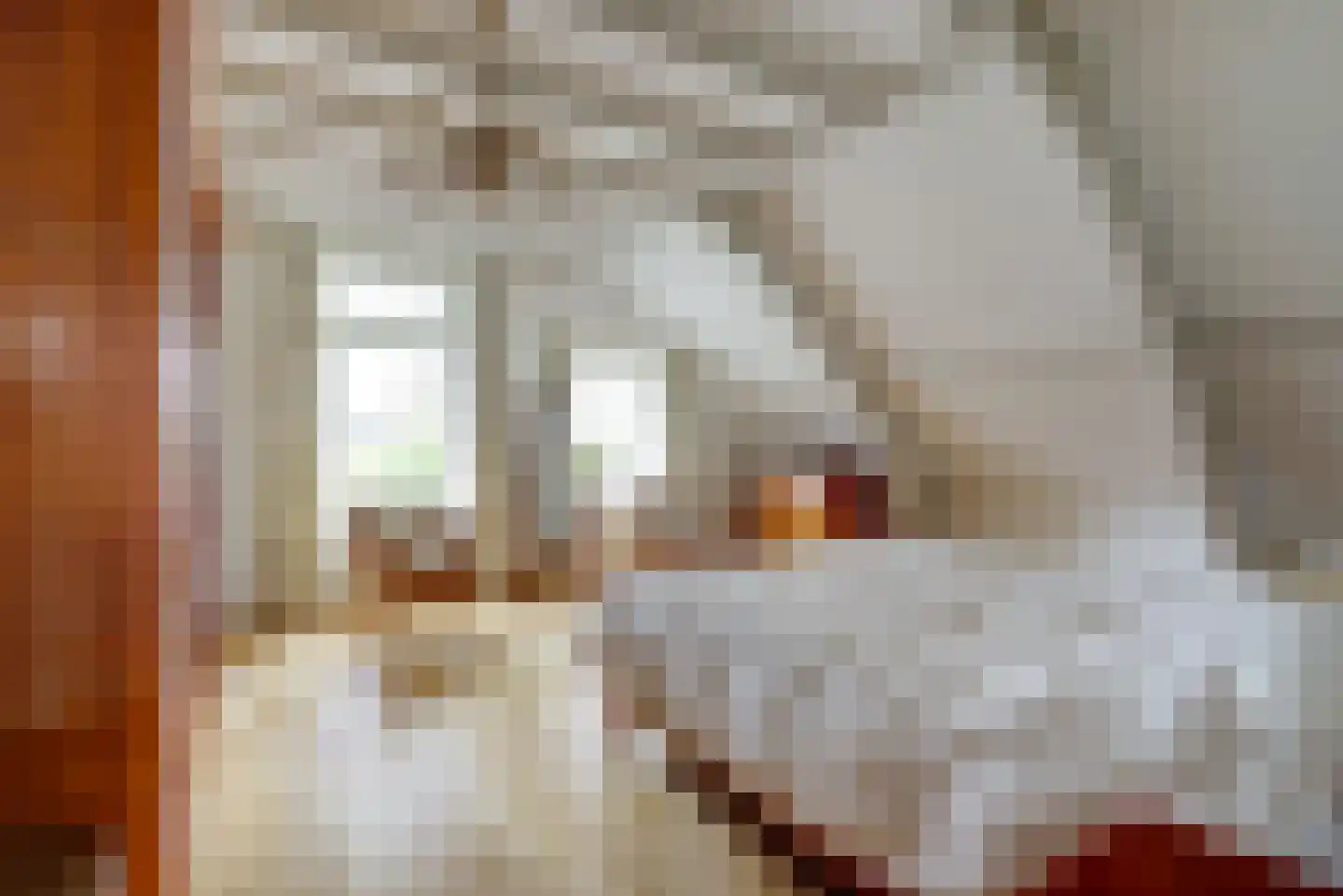 Meije 28 Bodegraven thumbnail 34