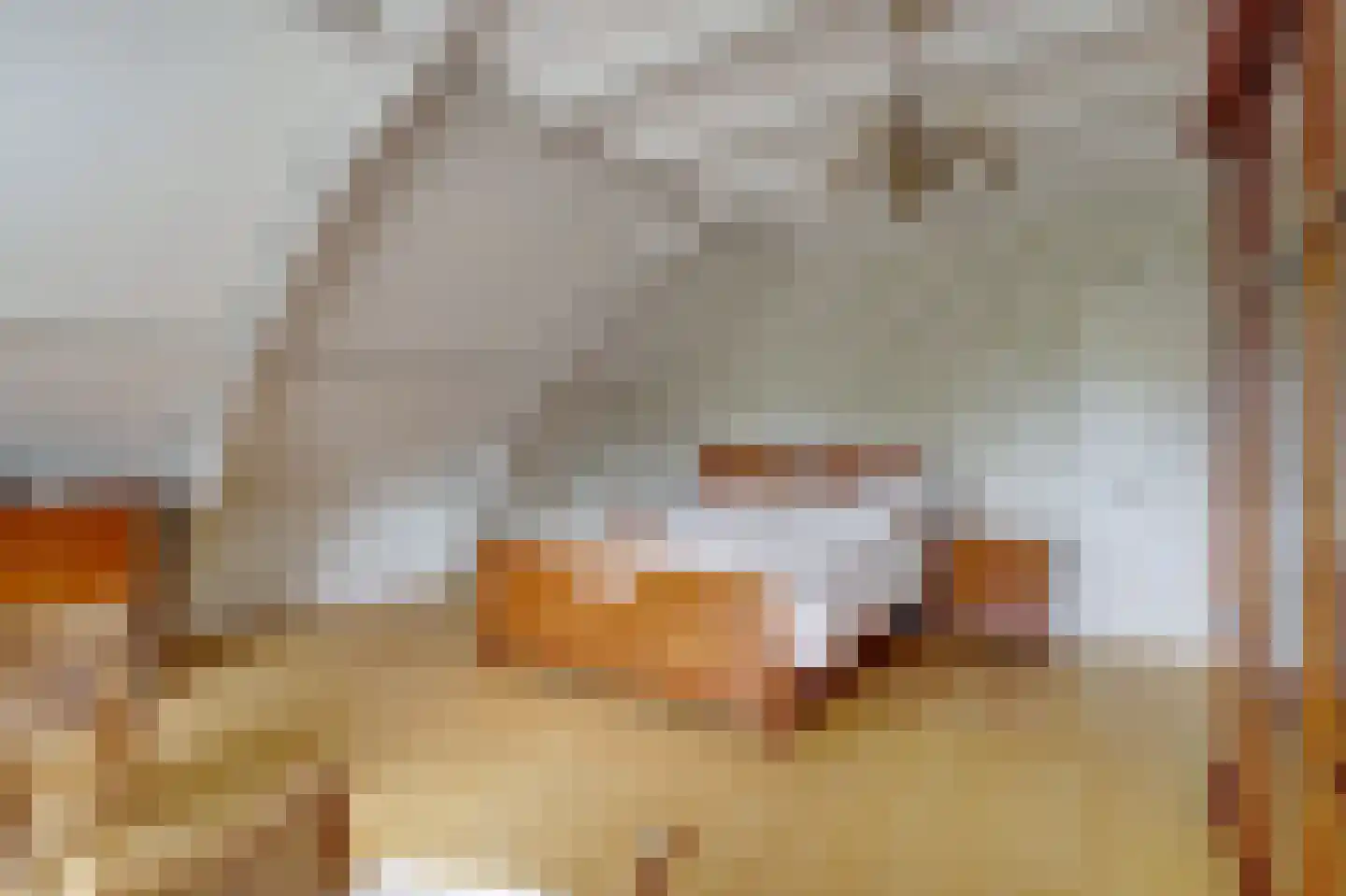 Meije 28 Bodegraven thumbnail 35
