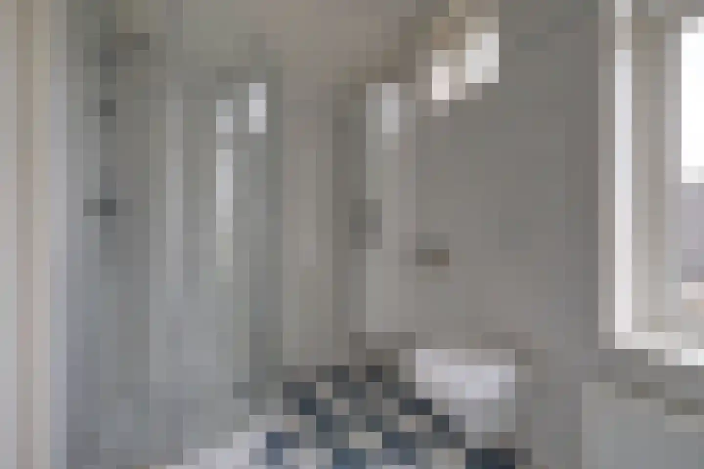 Meije 28 Bodegraven thumbnail 39