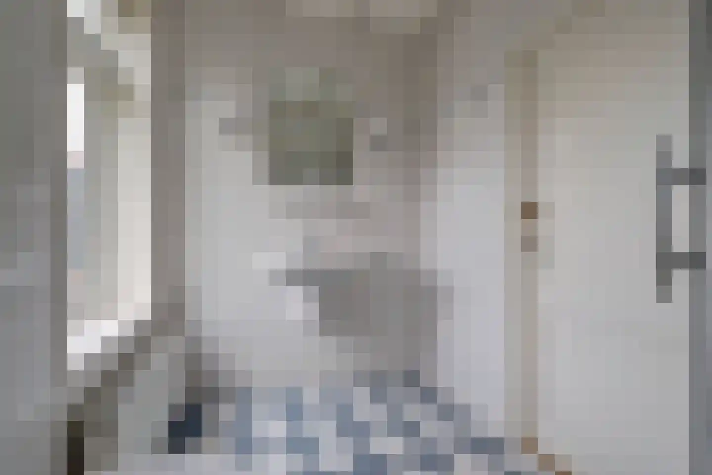 Meije 28 Bodegraven thumbnail 40