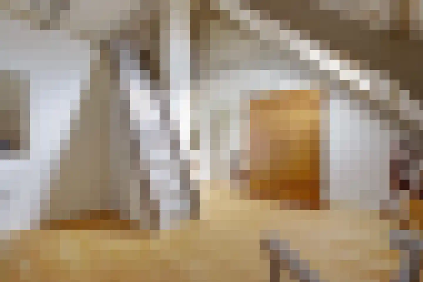 Meije 28 Bodegraven thumbnail 41