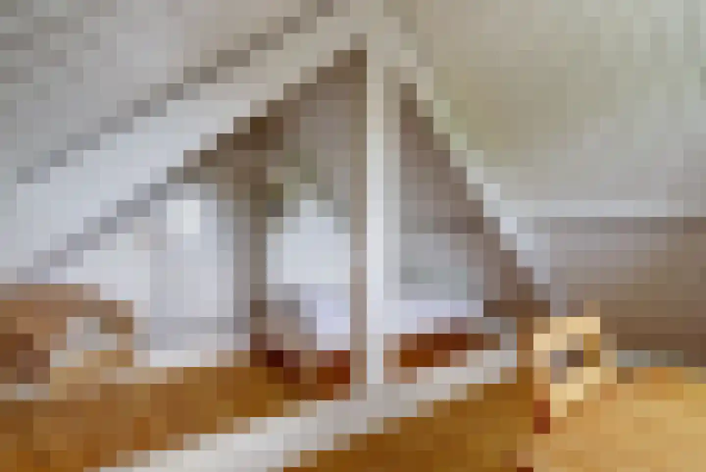 Meije 28 Bodegraven thumbnail 44