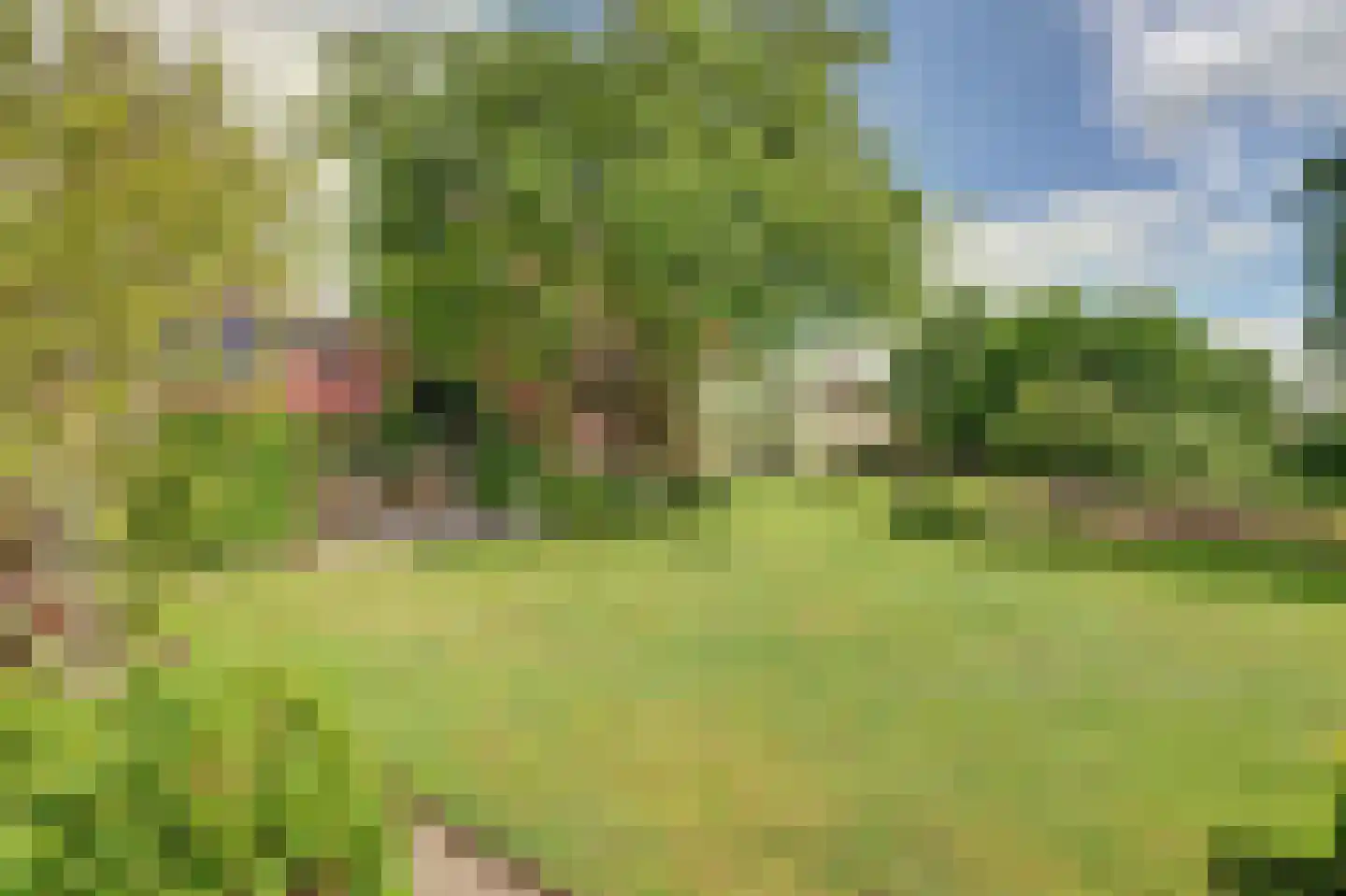 Meije 28 Bodegraven thumbnail 48