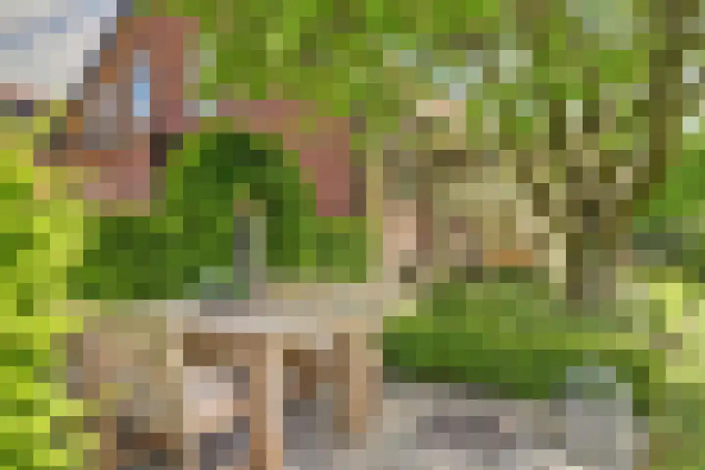 Meije 28 Bodegraven thumbnail 49