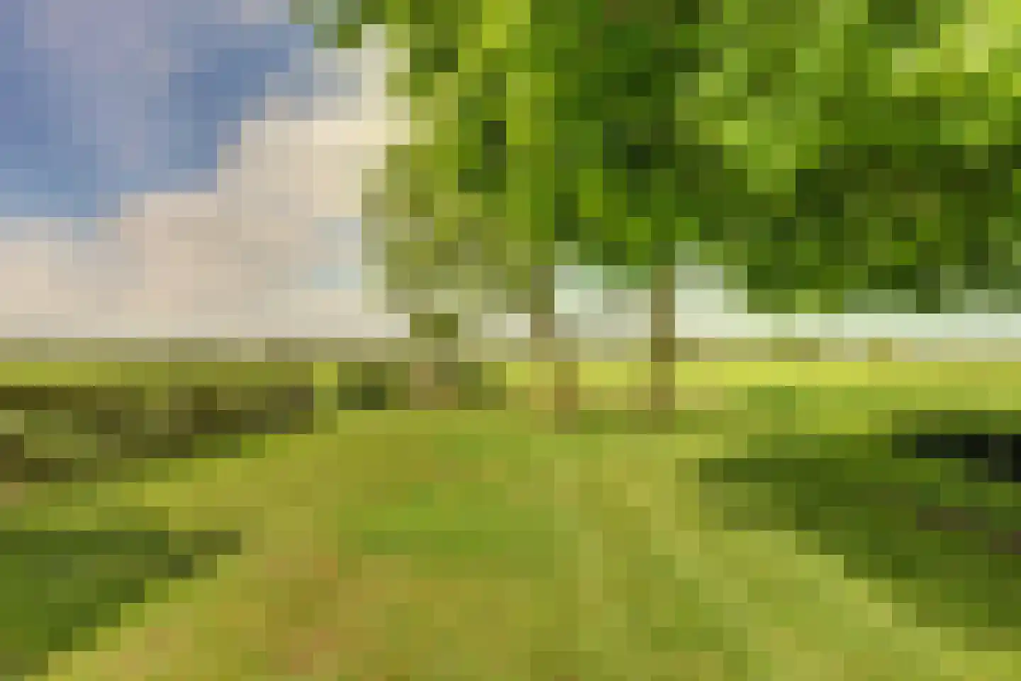 Meije 28 Bodegraven thumbnail 5