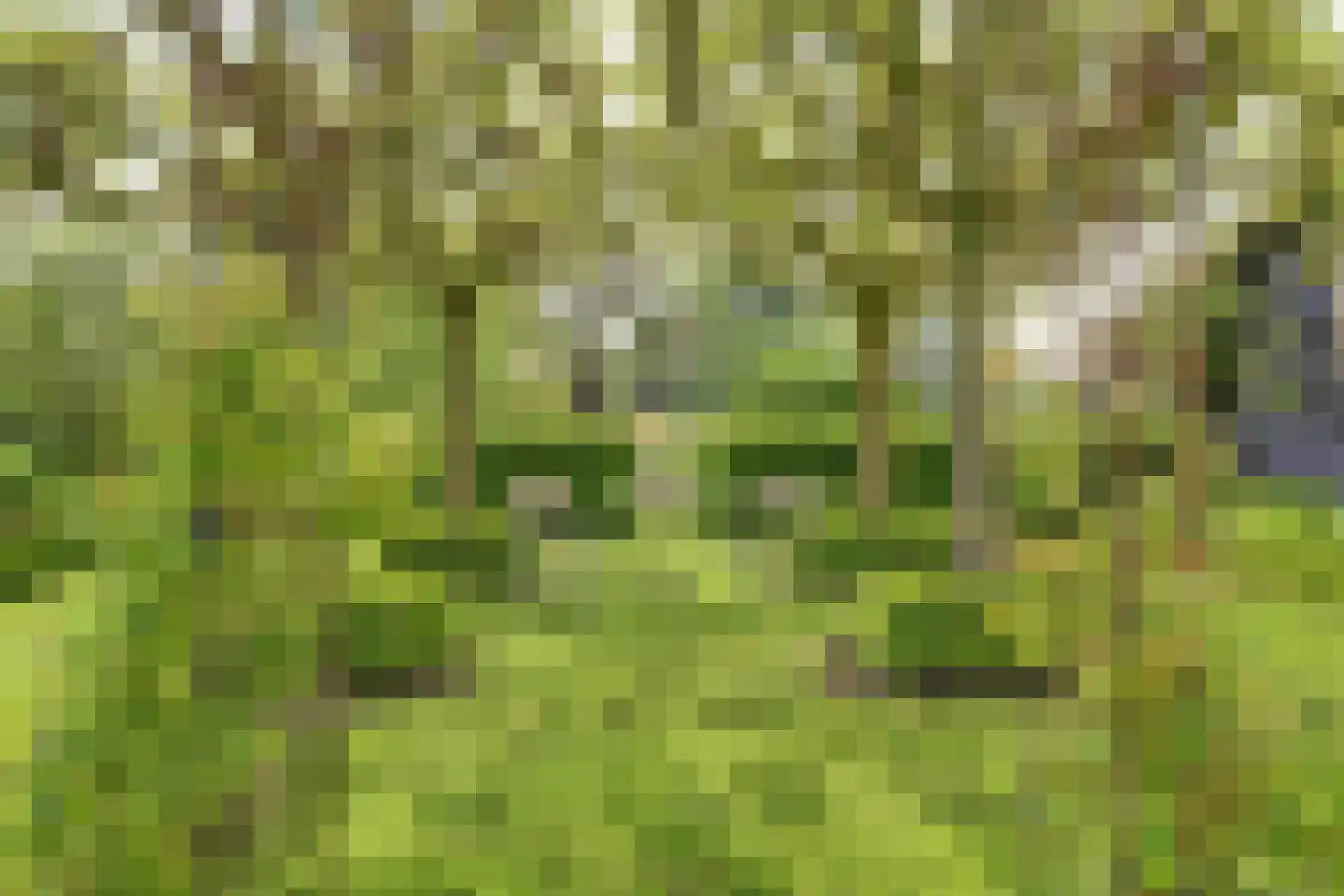 Meije 28 Bodegraven thumbnail 52