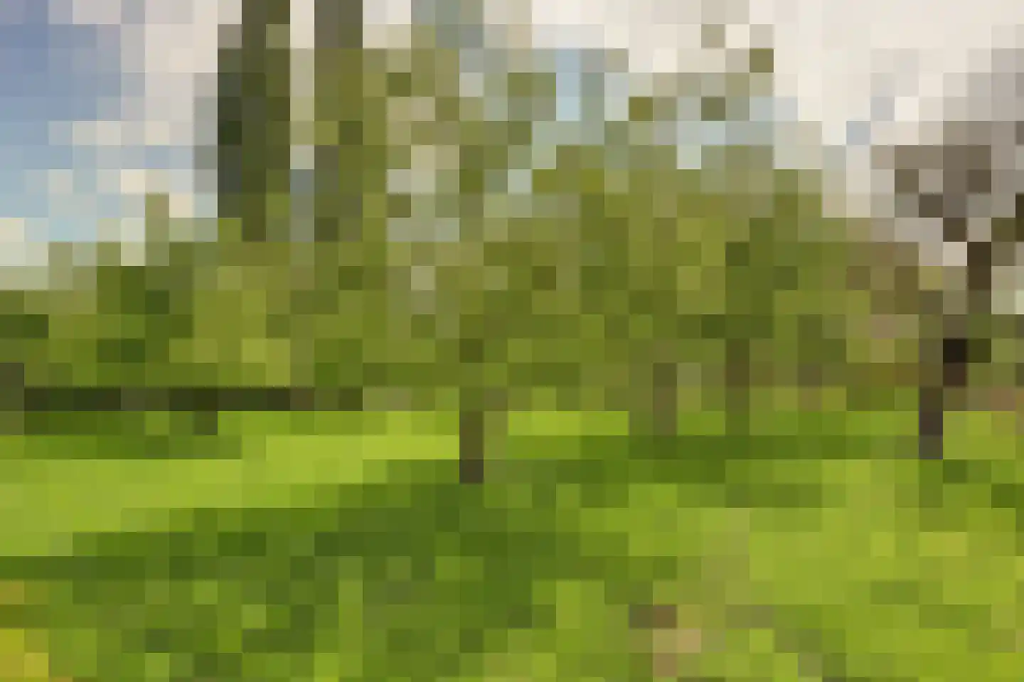 Meije 28 Bodegraven thumbnail 53