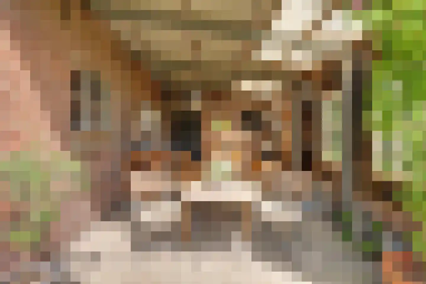 Meije 28 Bodegraven thumbnail 54