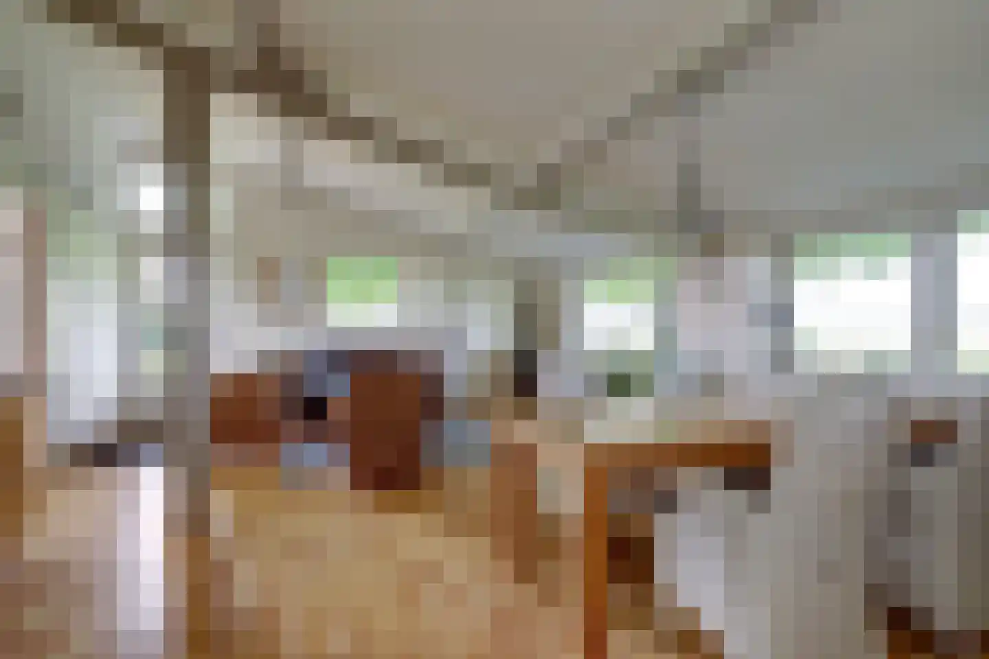Meije 28 Bodegraven thumbnail 61