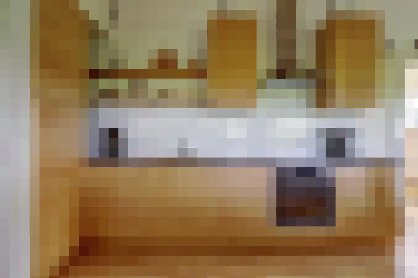 Meije 28 Bodegraven thumbnail 62