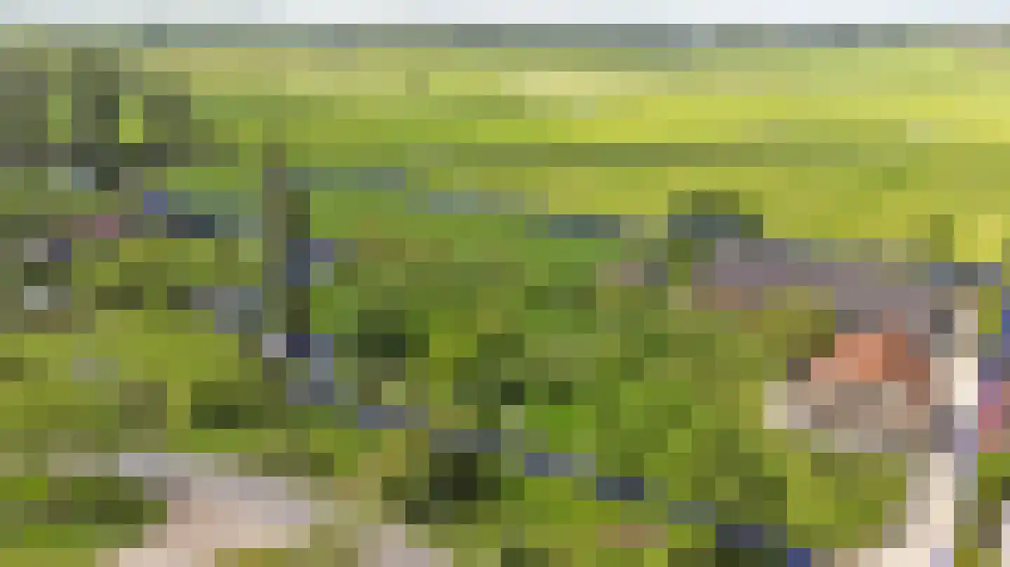 Meije 28 Bodegraven thumbnail 7