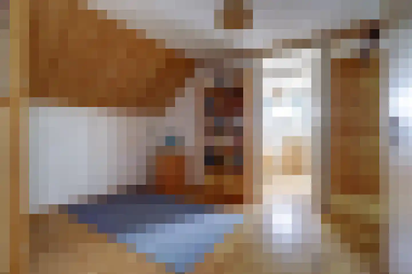 Meije 28 Bodegraven thumbnail 70