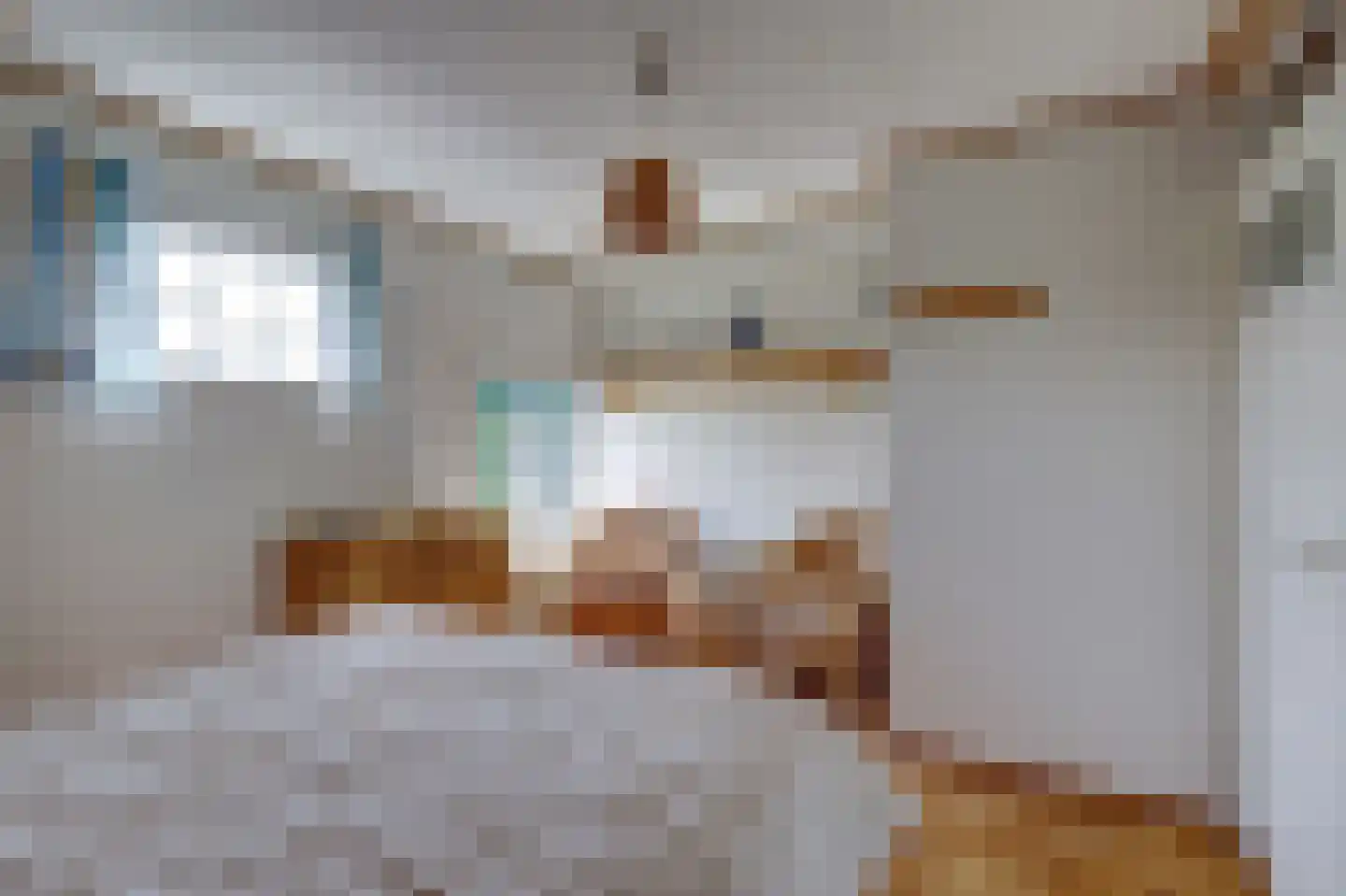Meije 28 Bodegraven thumbnail 73