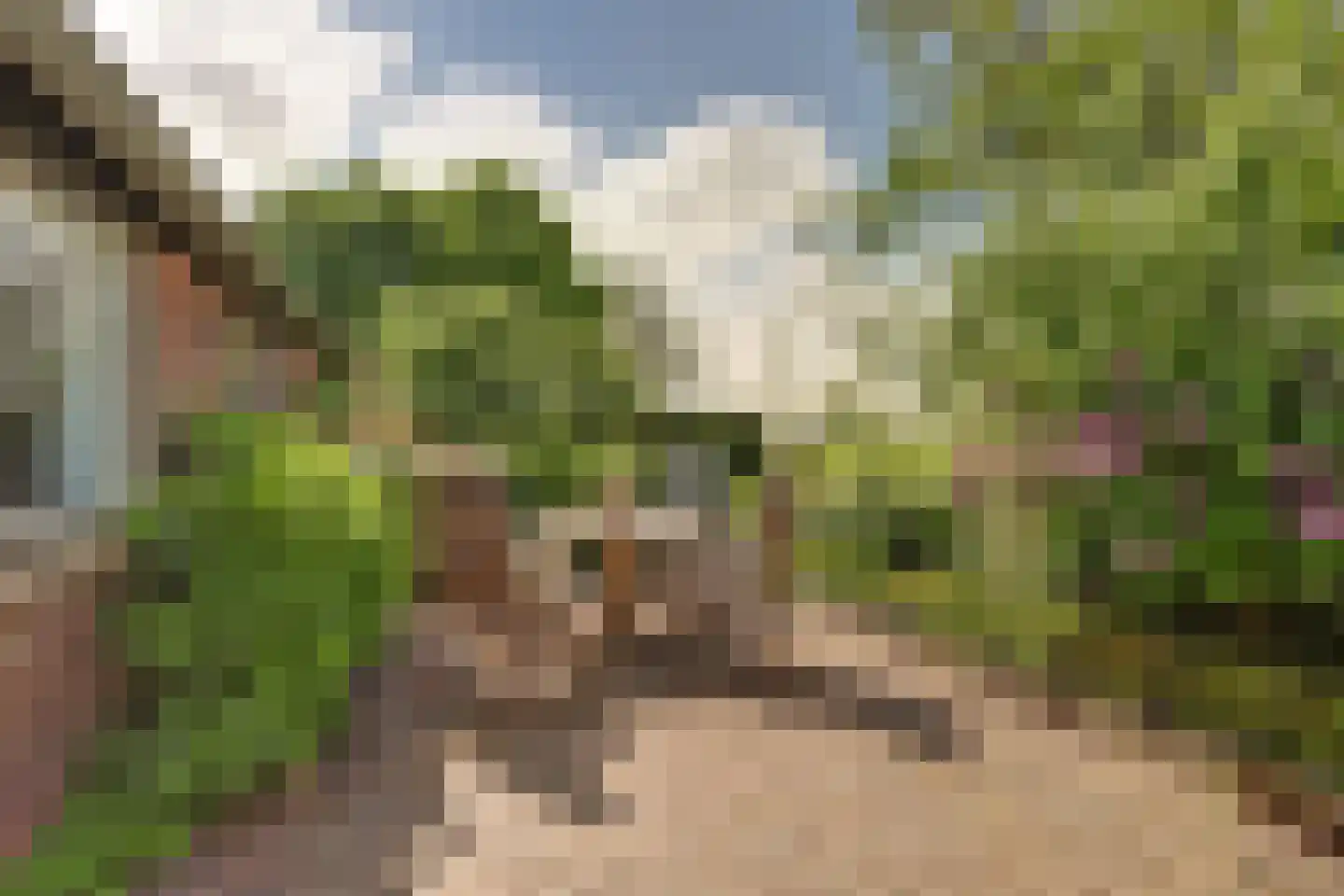 Meije 28 Bodegraven thumbnail 80