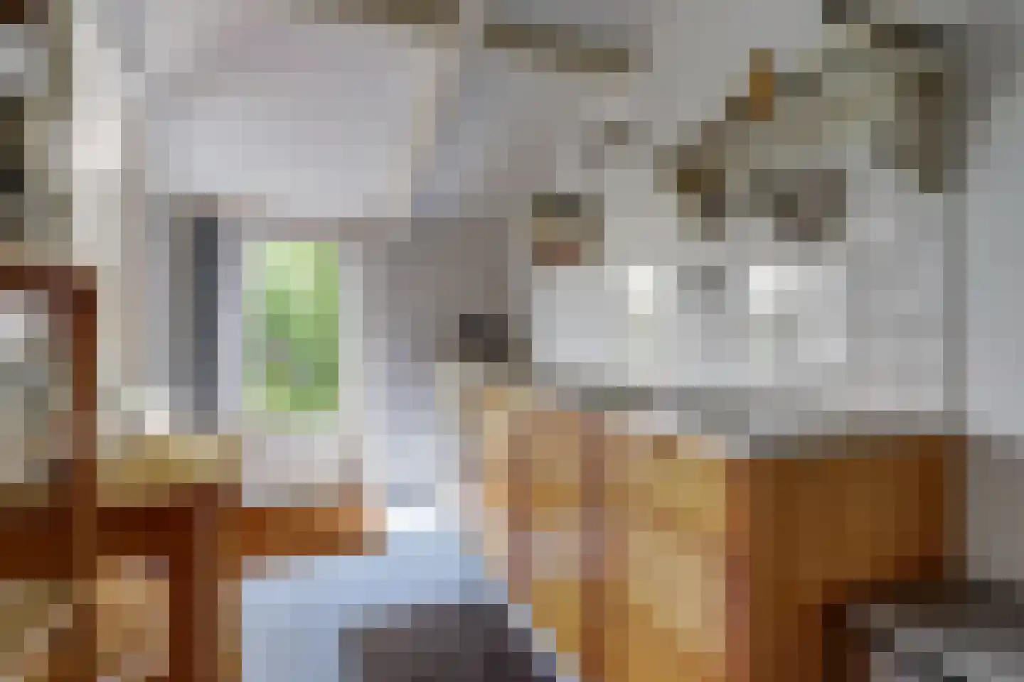 Meije 28 Bodegraven thumbnail 82