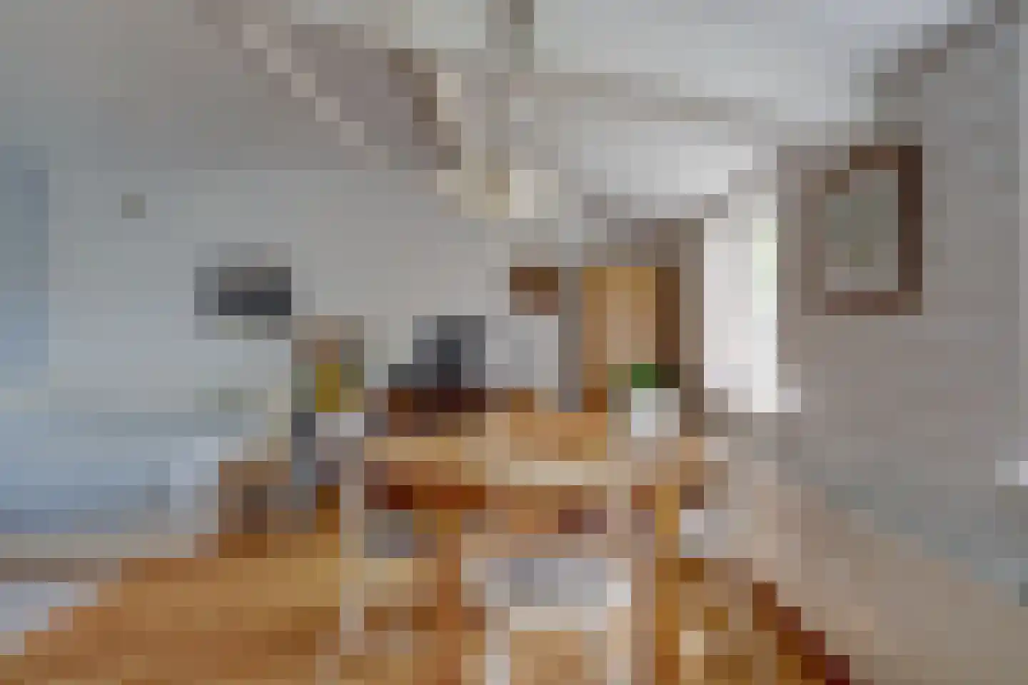 Meije 28 Bodegraven thumbnail 83